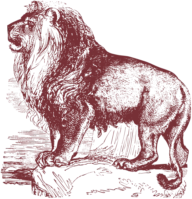 An engraving of a lion